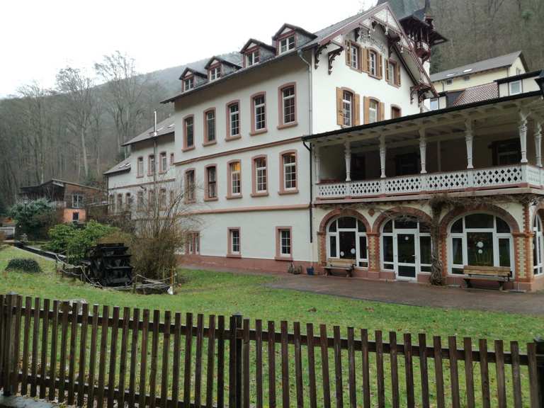 Königsmühle Wanderungen und Rundwege komoot