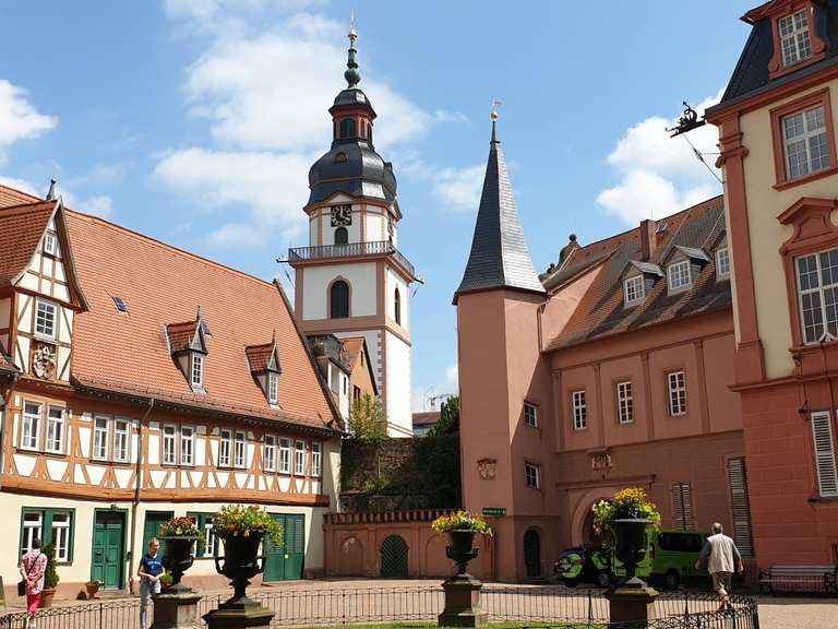 Erbach Jagdschloss Eulbach Runde von Erbach (Odenwald) Wanderung