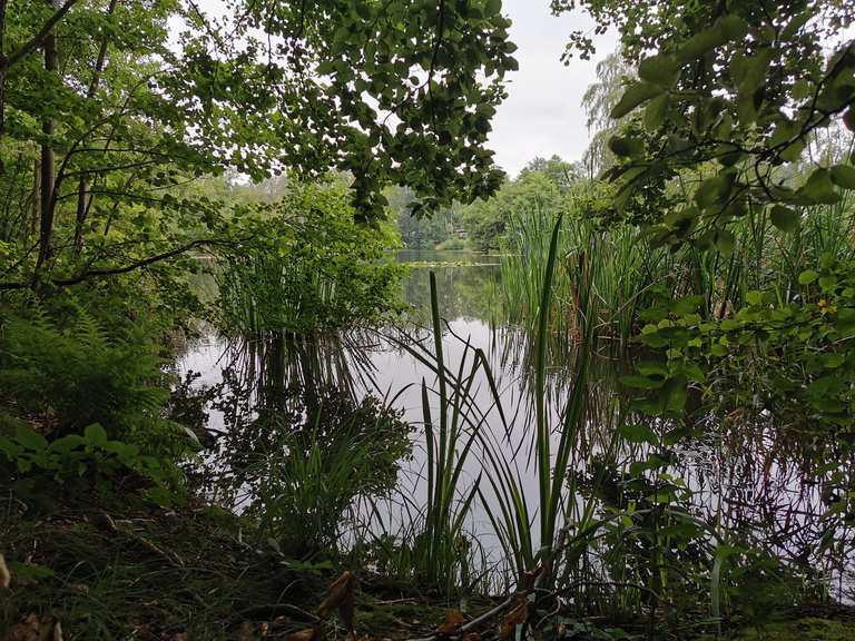 Bremer Teich (HWN 196) Wanderungen und Rundwege komoot