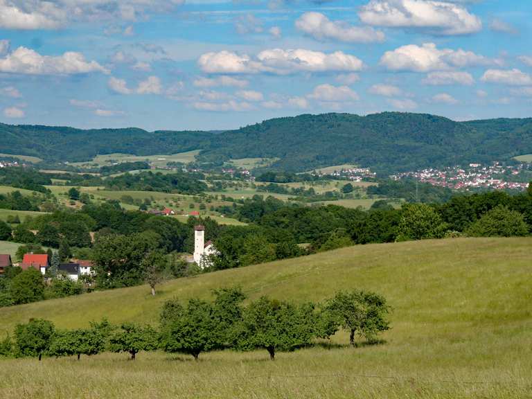 Zum Steigkopf Routes for Walking and Hiking | Komoot