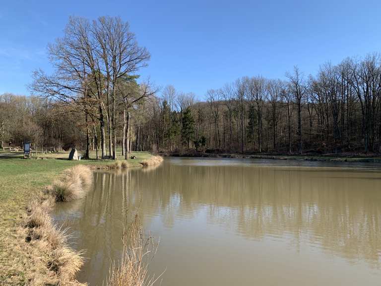 Ursee Wanderungen und Rundwege komoot