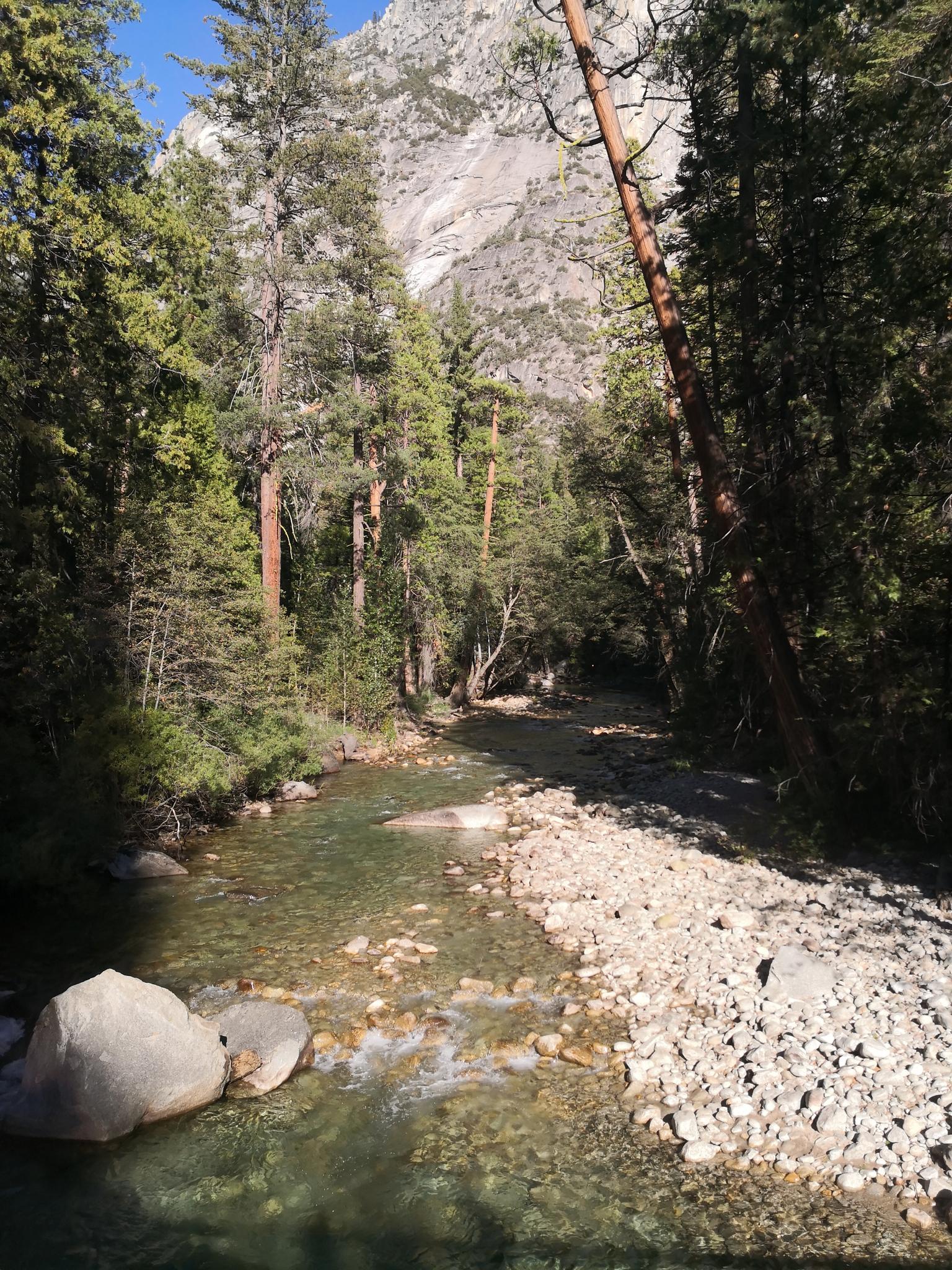 Clear river with rocky banks, surrounded by tall pine trees and mountains.