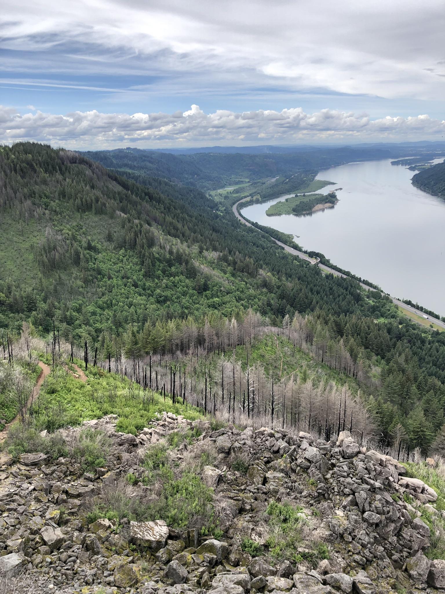 High angle view of a wide river winding through a forested valley under a cloudy sky.
