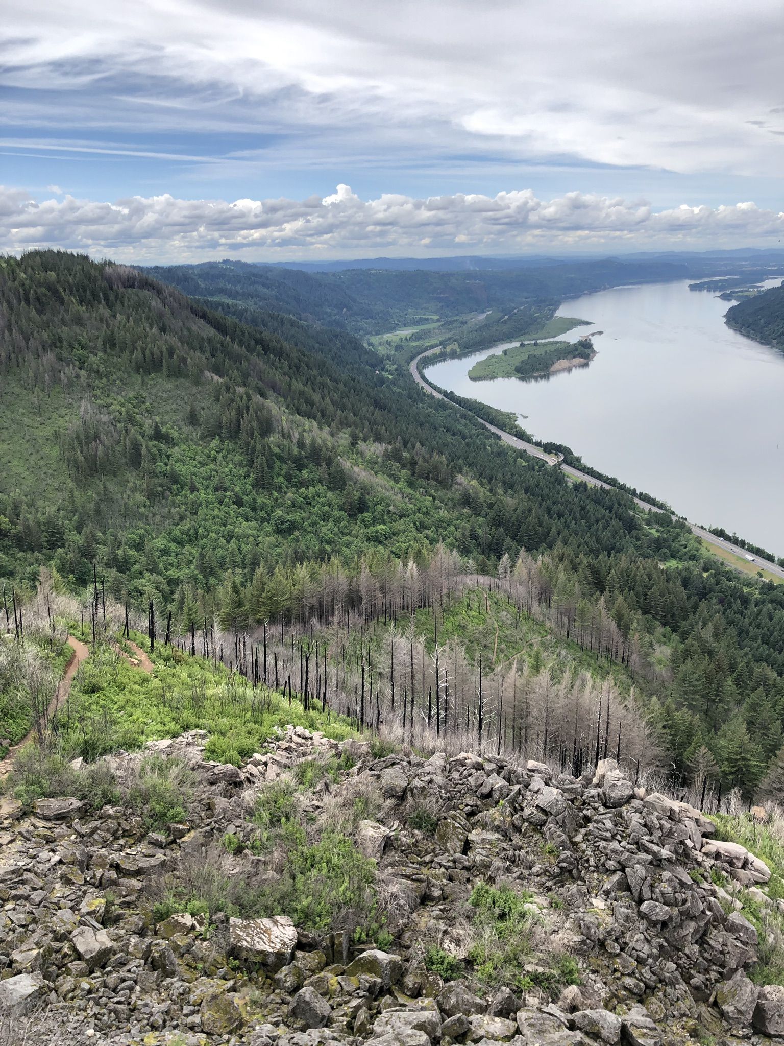 High angle view of a wide river winding through a forested valley under a cloudy sky. - Angel's Rest Trail