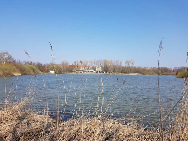 Großer Teich Sauna und Bademöglichkeit MountainbikeTouren und Trails