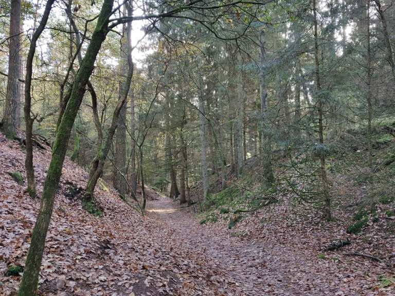 Höllenschlucht Wanderungen und Rundwege komoot