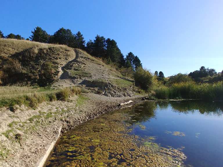 Giesener Teiche / Dreisch Wanderungen und Rundwege komoot