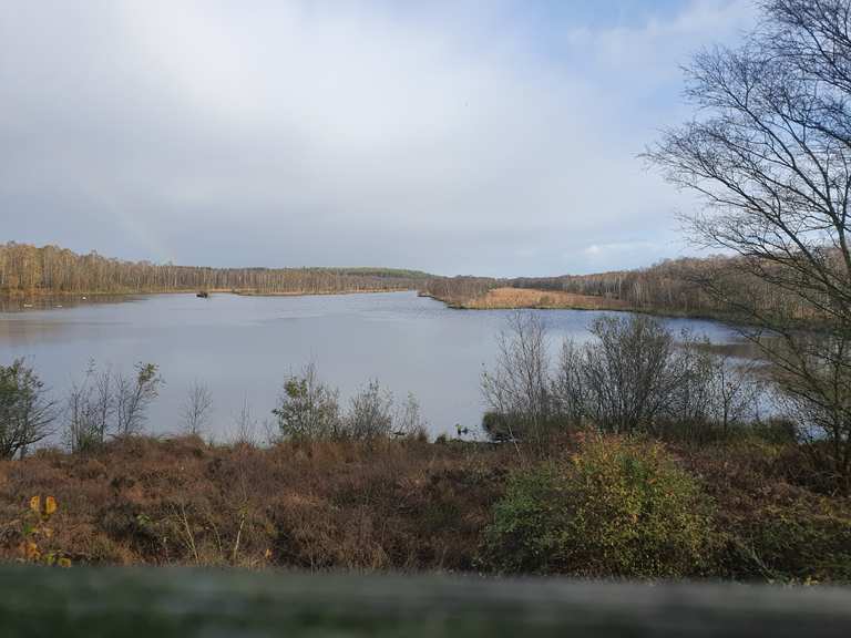 Aussichtsturm im Hasenmoor Wanderungen und Rundwege komoot