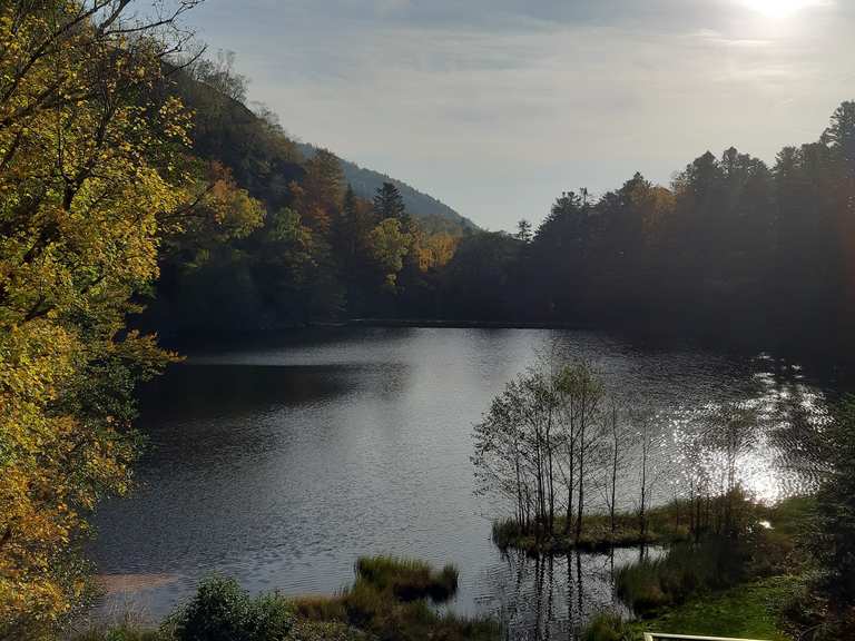 Lac Neuweiher Wanderungen und Rundwege komoot