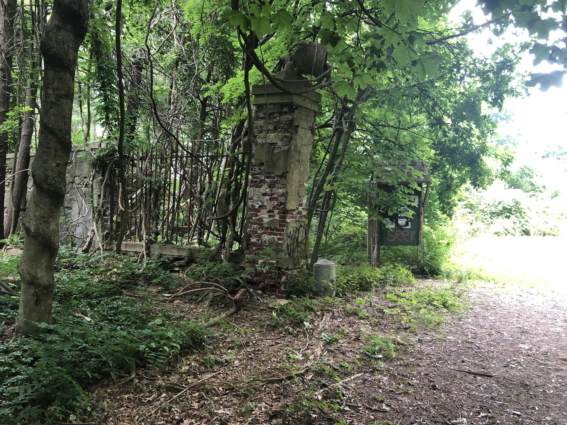 Overgrown path next to an old brick pillar in a lush green forest.