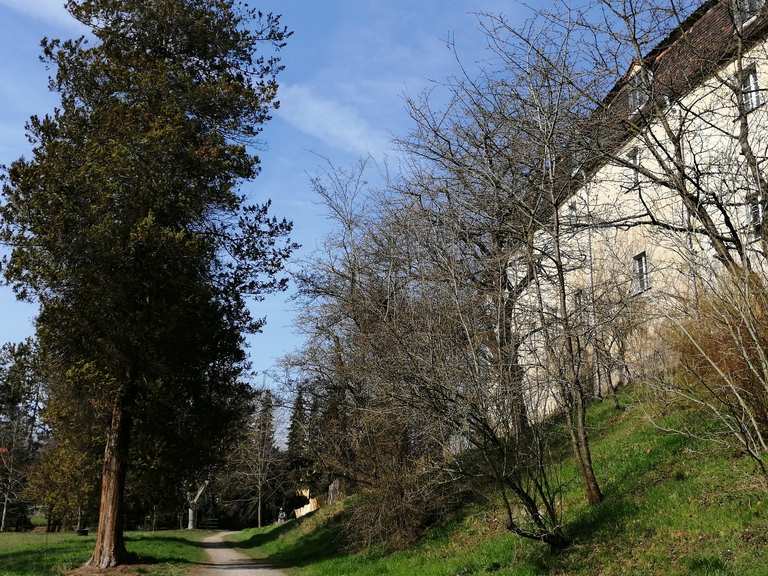 Schloss Tümpling Wanderungen und Rundwege komoot