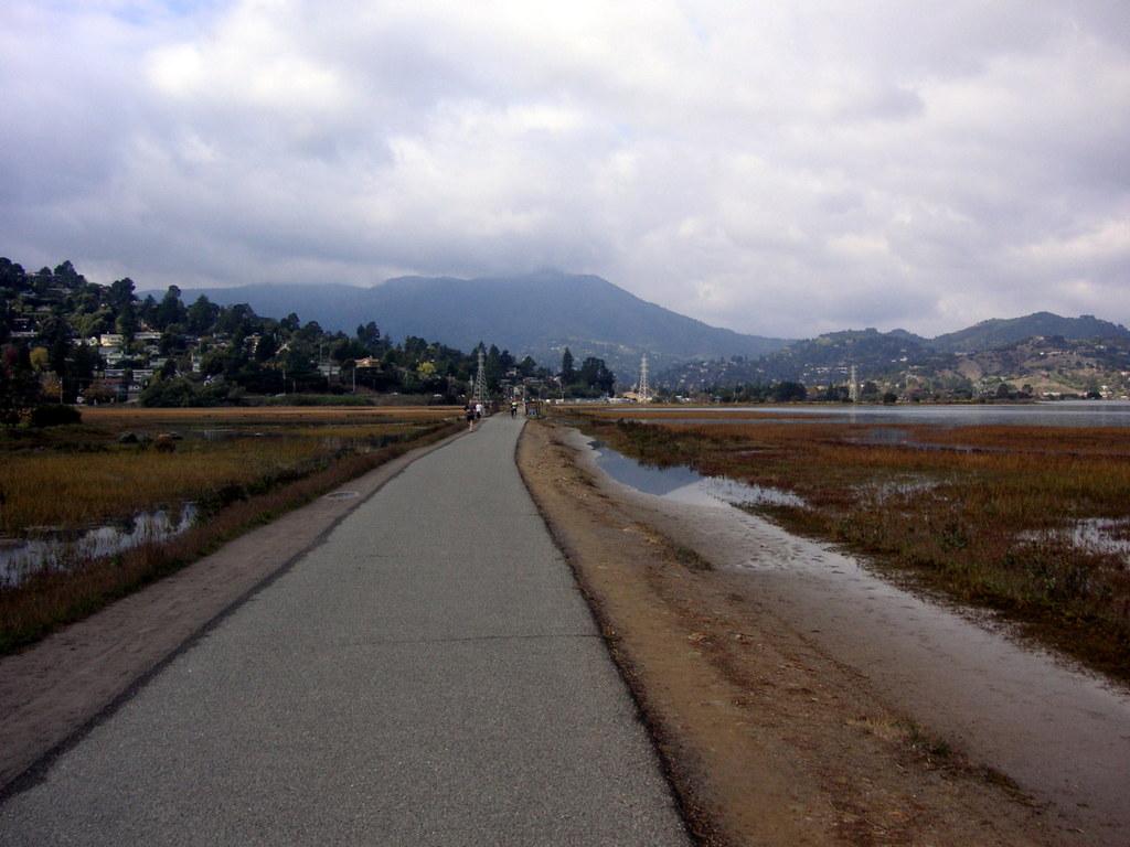 Paved path through wetlands, distant mountains, and a cloudy sky.