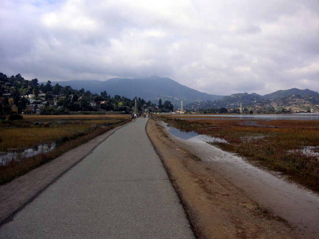 Paved path through wetlands, distant mountains, and a cloudy sky. - Sausalito, Tiburon, Paradise Cay Loop