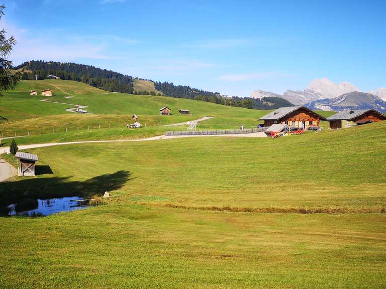 Biotop Großes Moos Wanderungen und Rundwege komoot