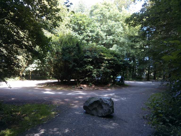 Rhododendron-Parkplatz  Wanderungen & Anfahrt | Komoot