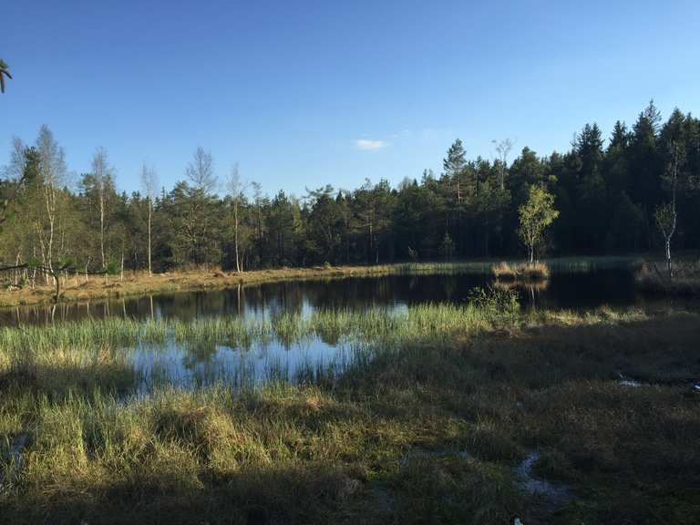 Hormersdorfer Hochmoor Wanderungen und Rundwege komoot