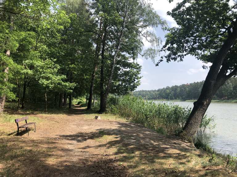 Beetzer See mit Rundweg Routes for Walking and Hiking | Komoot