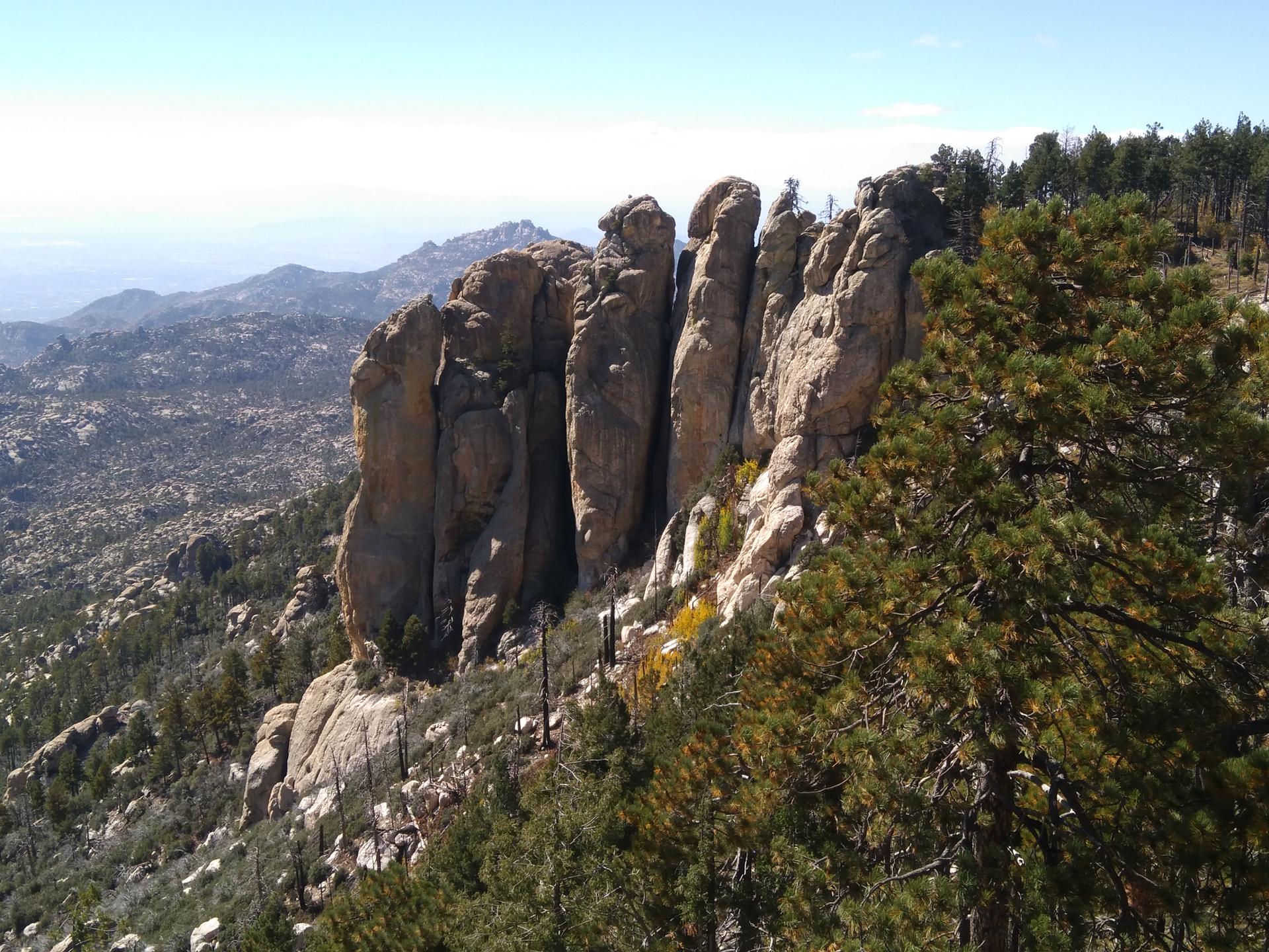 Dramatic rock spires and pine trees on a mountain slope with a distant valley.