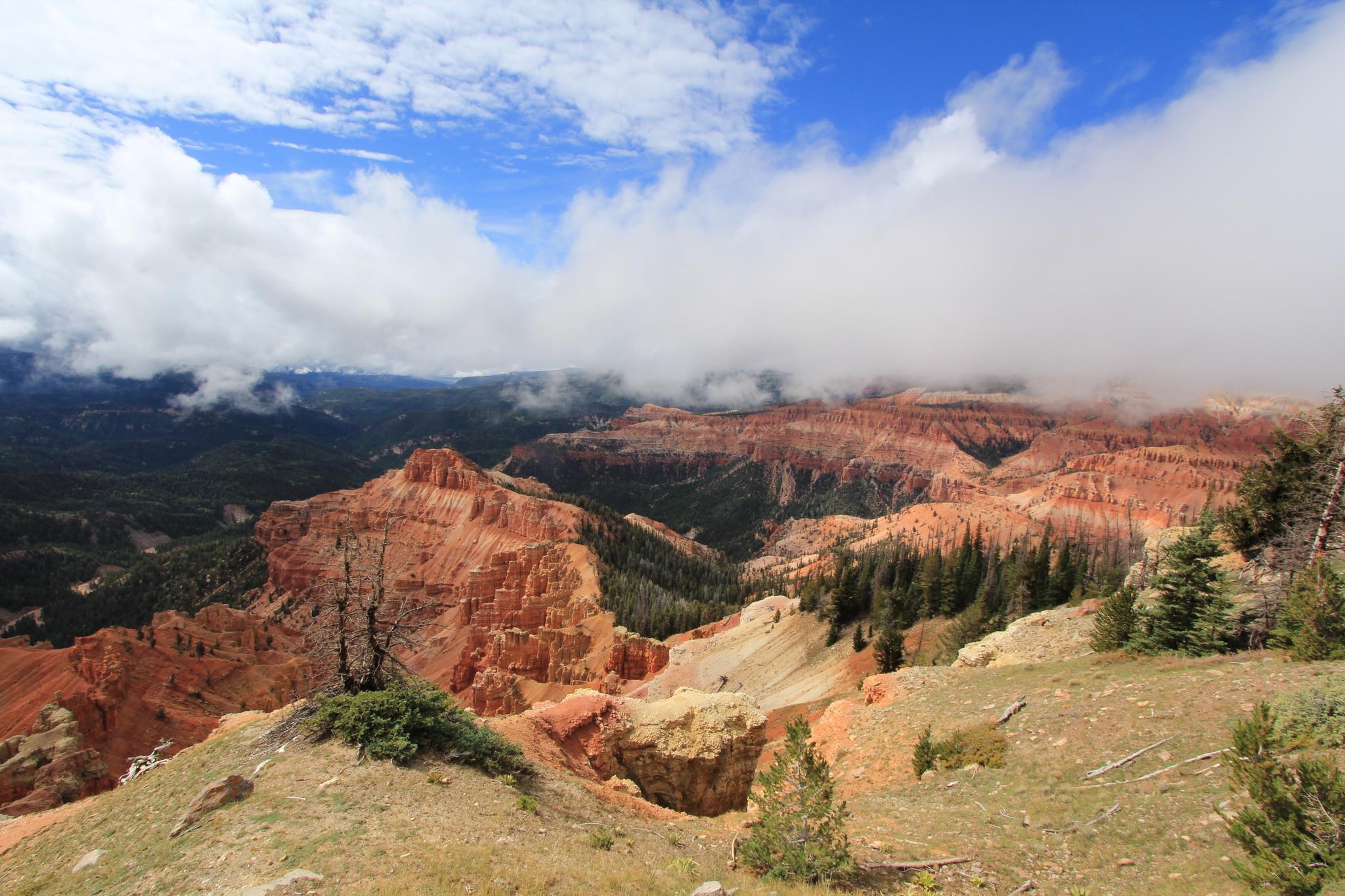 Red rock canyon partially obscured by low-hanging clouds and green trees.