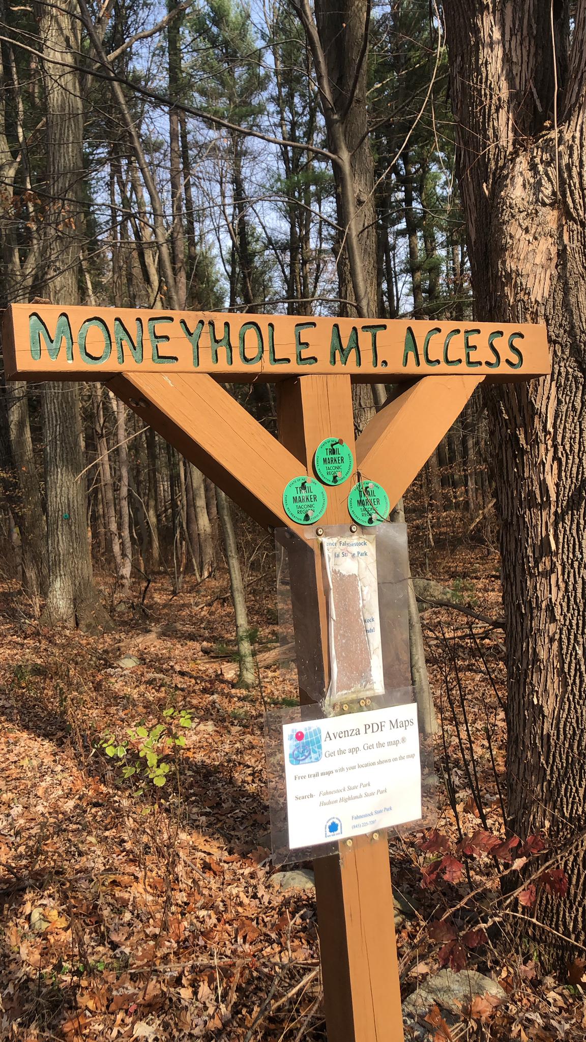 Wooden trail sign in a sunlit forest with fallen leaves on the ground.