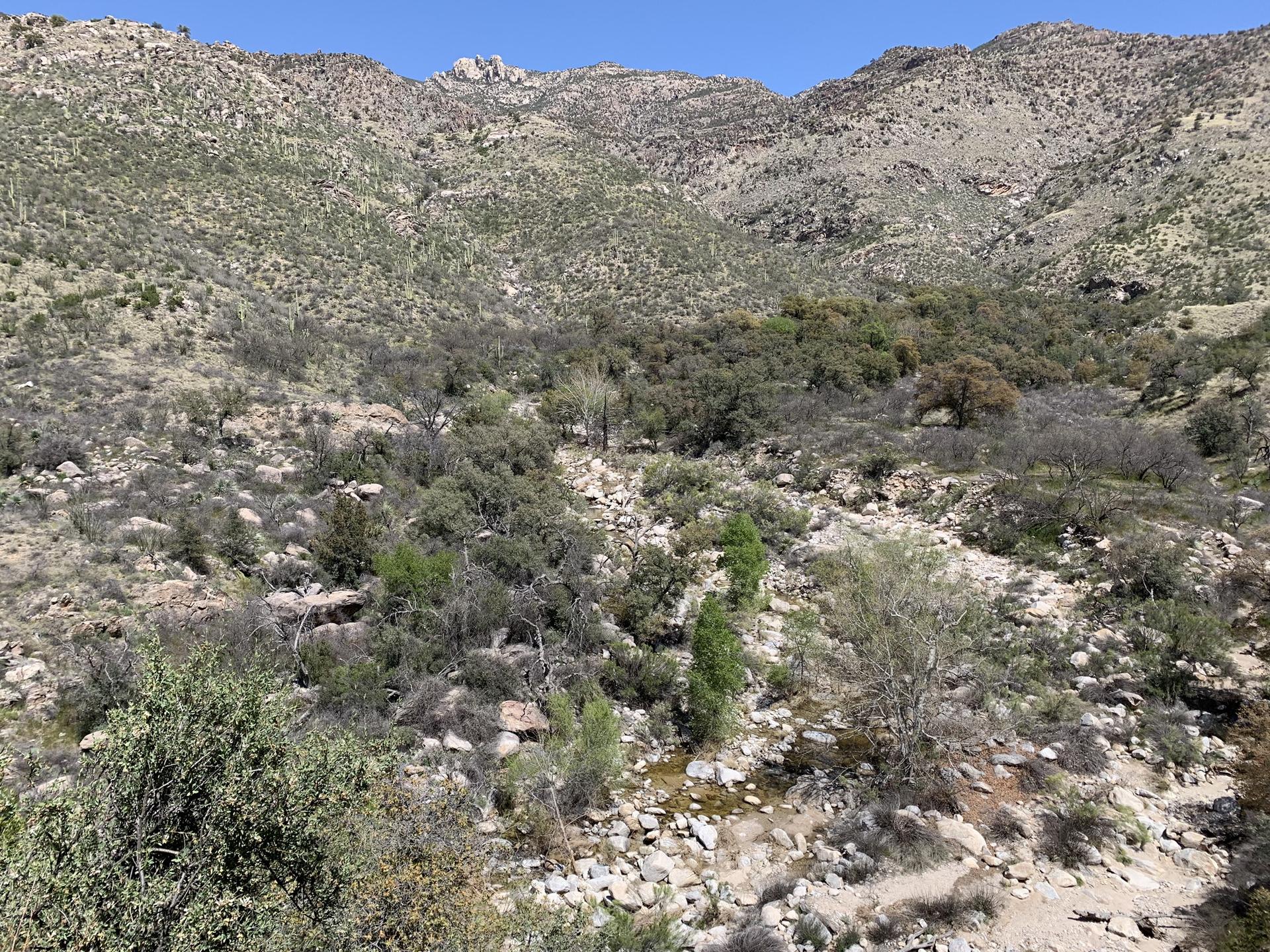 Wide view of a rocky, brush-covered mountain valley with a small stream.