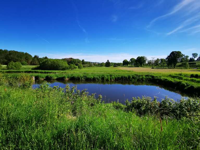 Rothenbachteich NiederMooser Teich Runde von Freiensteinau