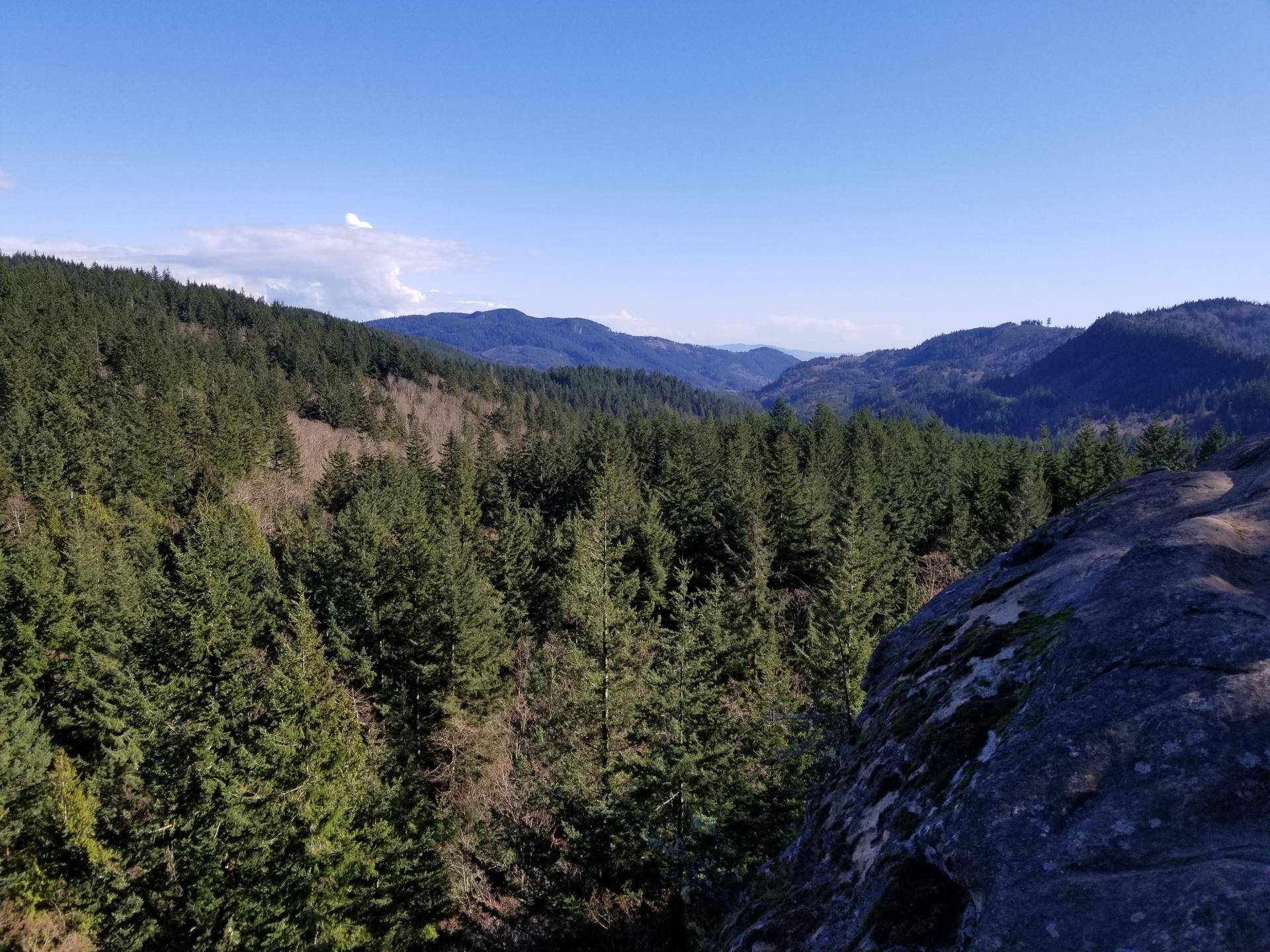 A vast evergreen forest covers rolling hills under a clear blue sky.