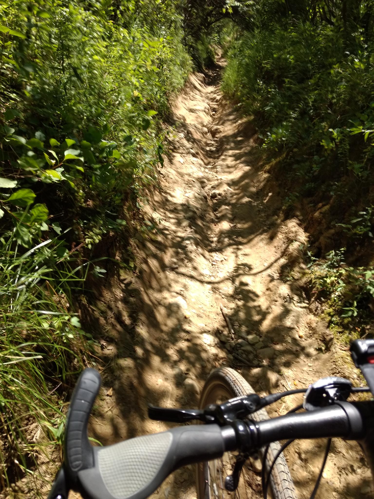 Mountain bike handlebars on a narrow, rutted dirt trail with dappled sunlight.