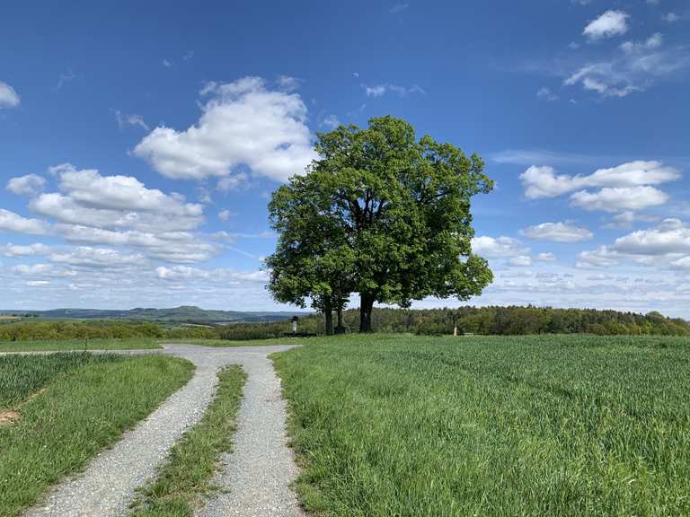 Rastplatz bei Messenfeld Wanderungen und Rundwege komoot