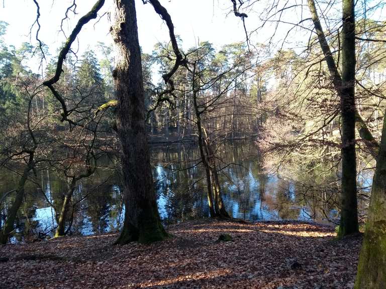 Donoper Teich MountainbikeTouren und Trails komoot