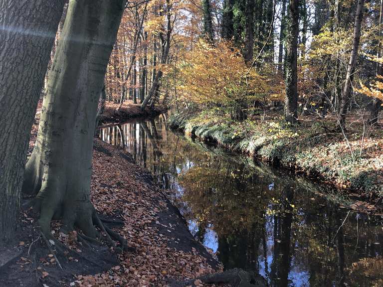 Lutter Wald NordrheinWestfalen, Deutschland Radtouren