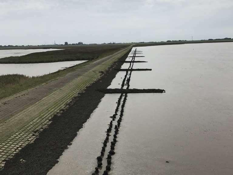 Langlütjen I MountainbikeTouren und Trails komoot