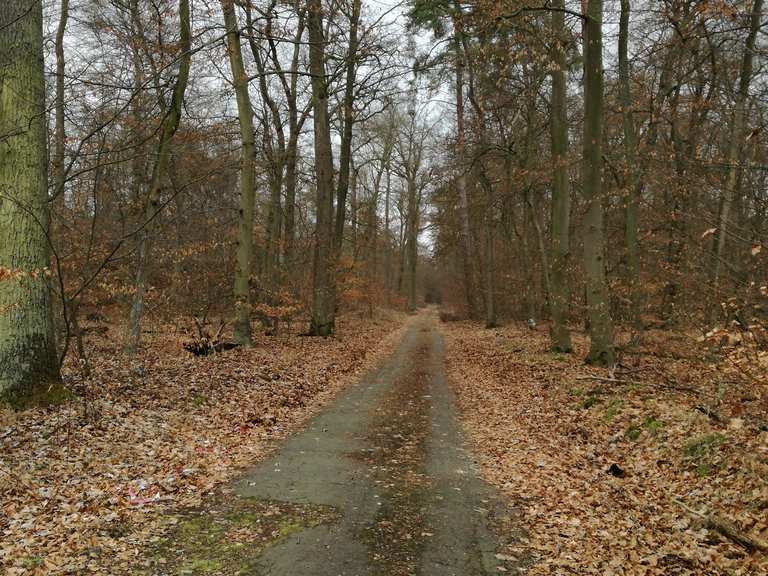 Munitionsbunker Viernheim, Bergstraße