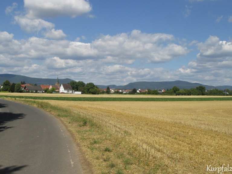 Kraut- und Rübenweg Abschnitt - fietsroutes en kaart | Komoot