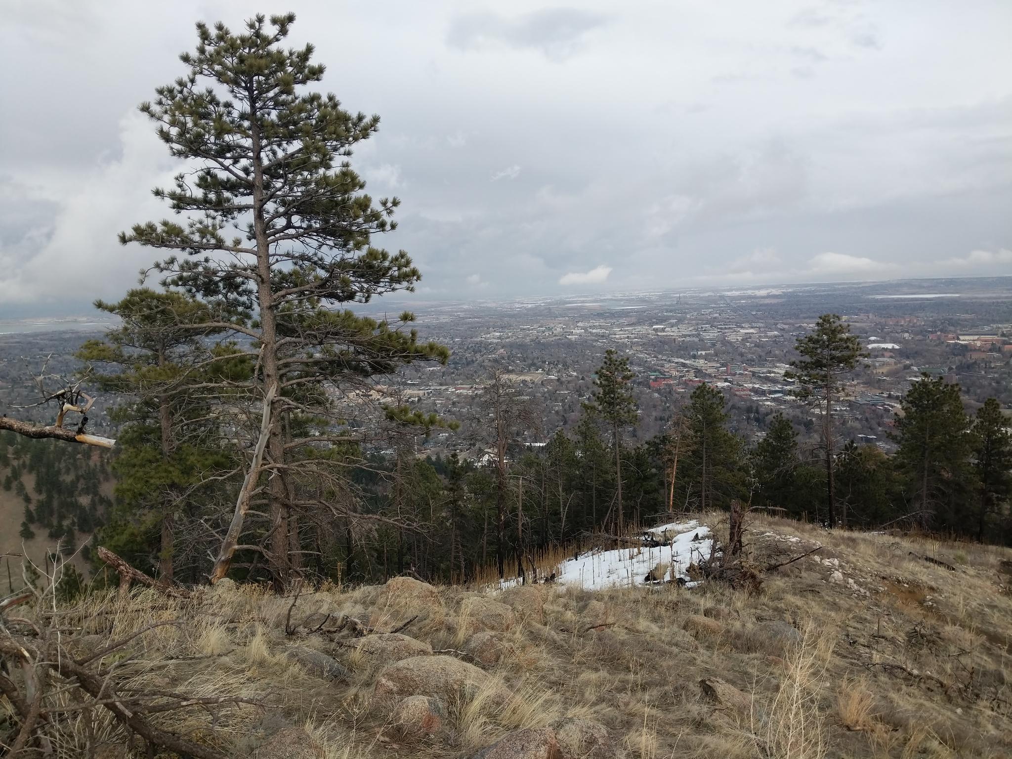 Overcast view of a city from a pine-covered hillside with patches of snow.
