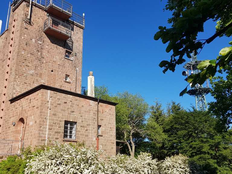 Kalmit Rennradfahren und Rennradtouren komoot