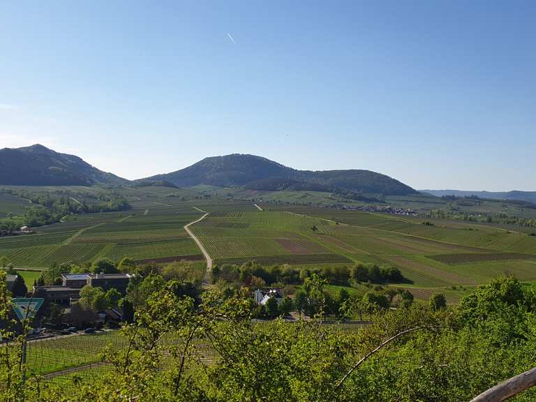 Kleine Kalmit Radtouren und Radwege komoot
