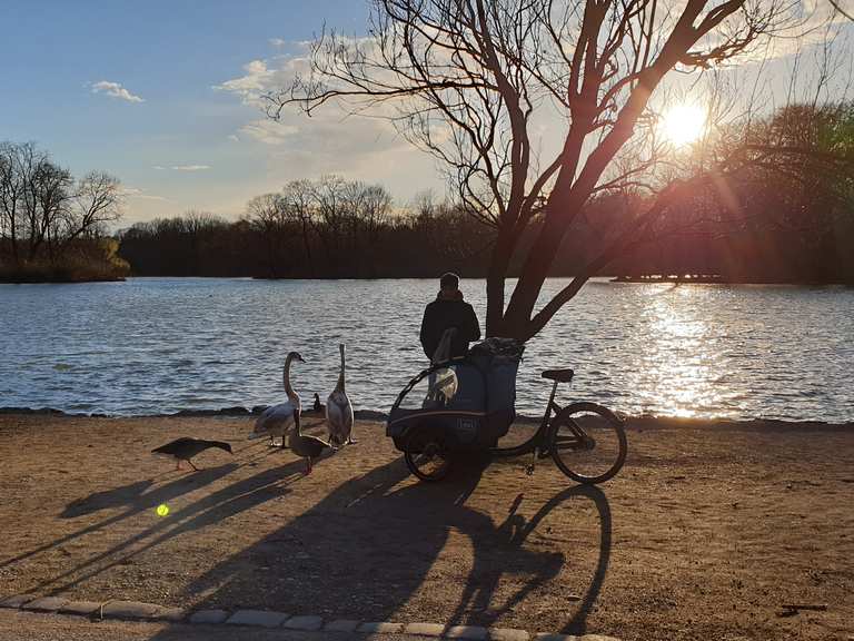 Englischer Garten, München Oberbayern, Bayern Lauf