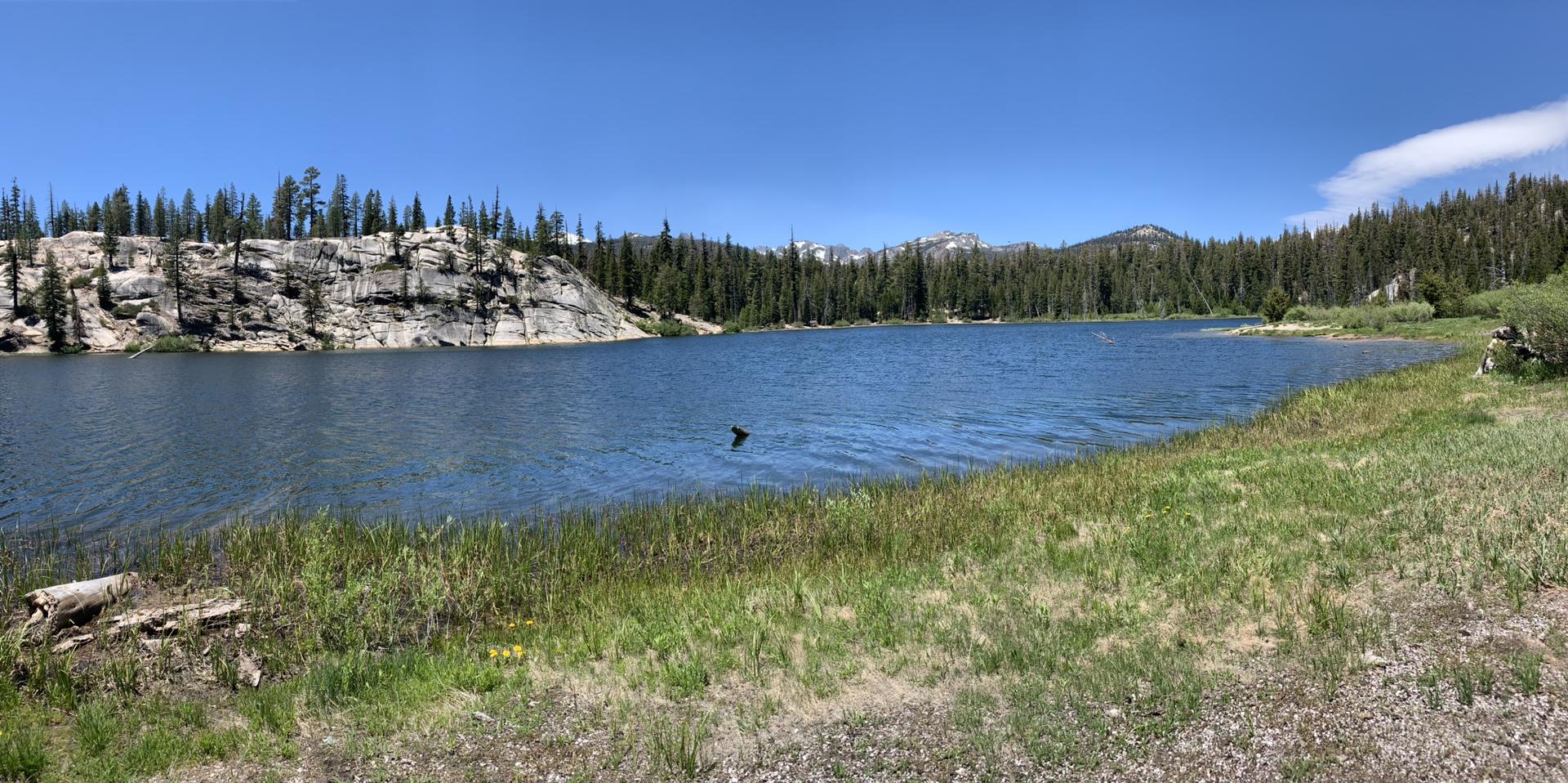A blue lake with rocky shores, green grass, and distant forest under a clear sky.