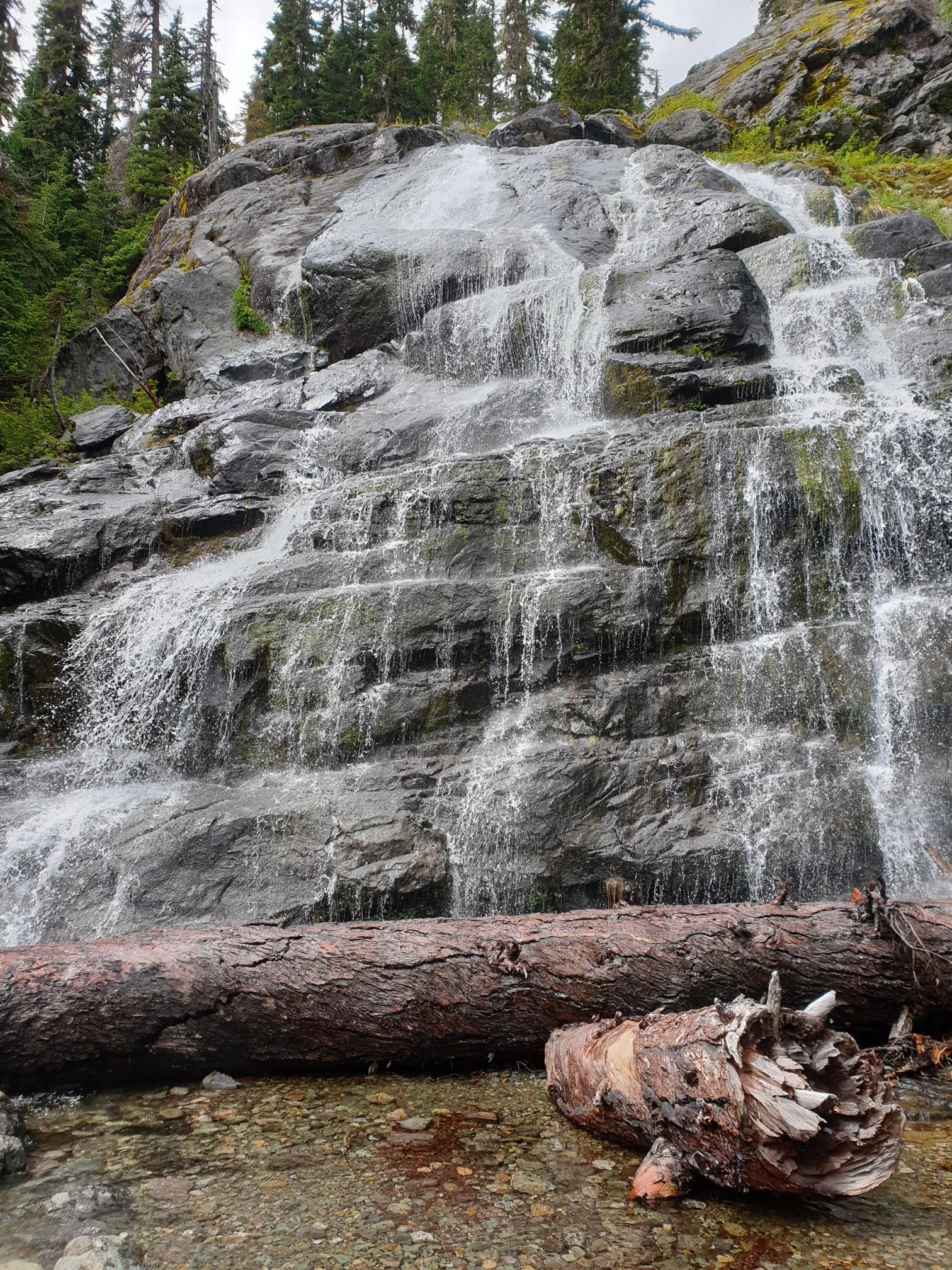 Tall waterfall flowing over dark rocks, with large fallen logs in foreground.