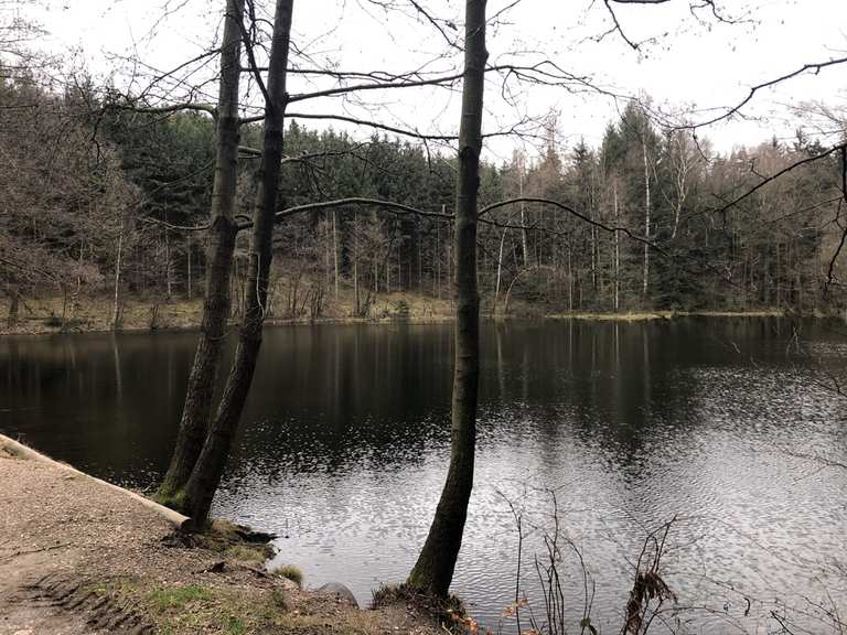 Schwarzer Teich MountainbikeTouren und Trails komoot