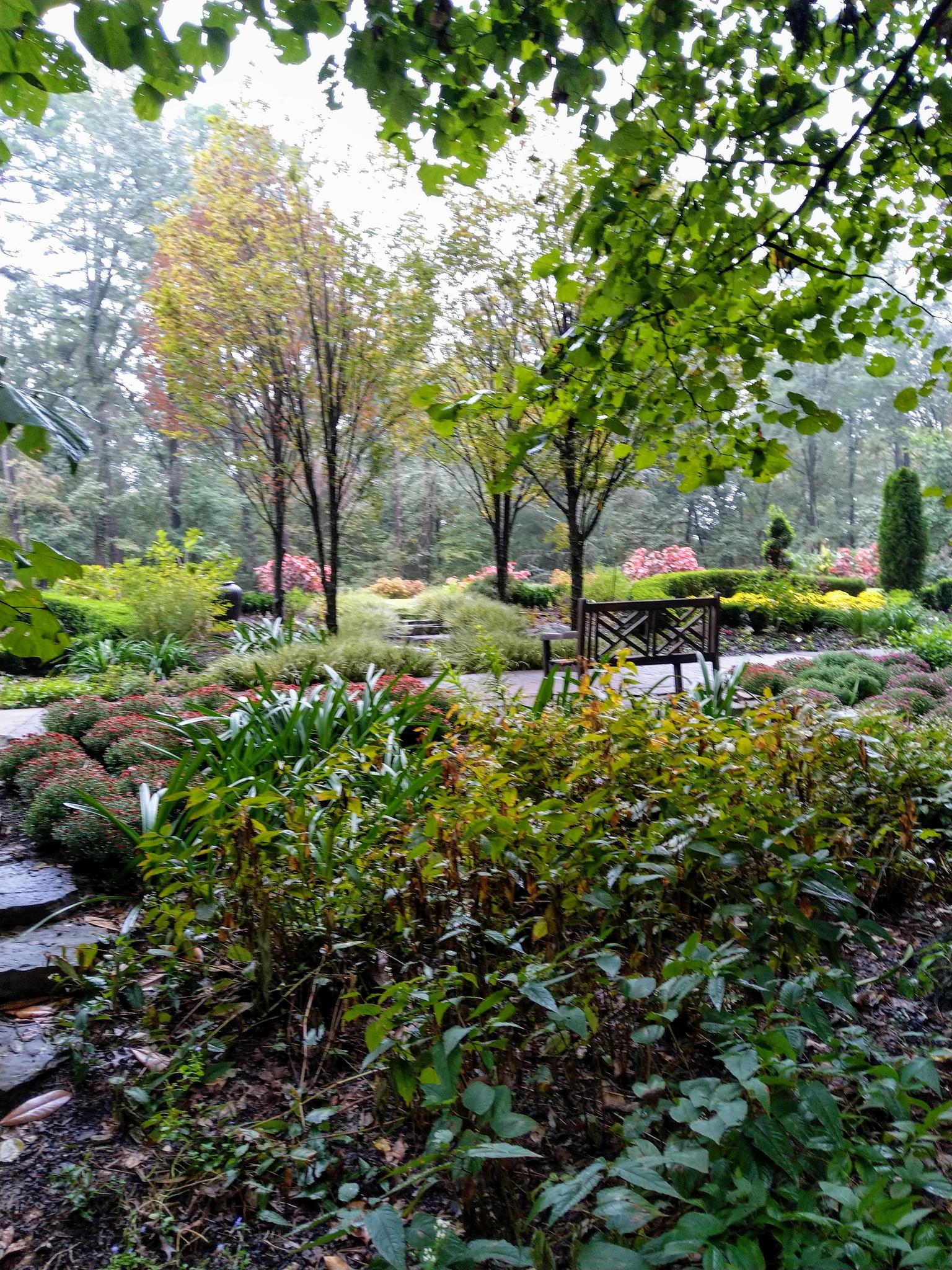 A lush, green garden with a decorative bench under tall trees.