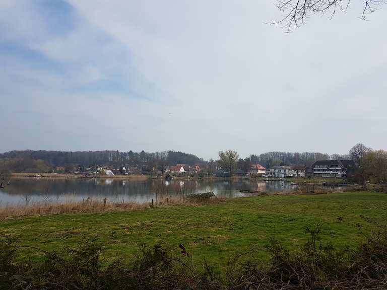 Bosau Radtouren und Radwege komoot