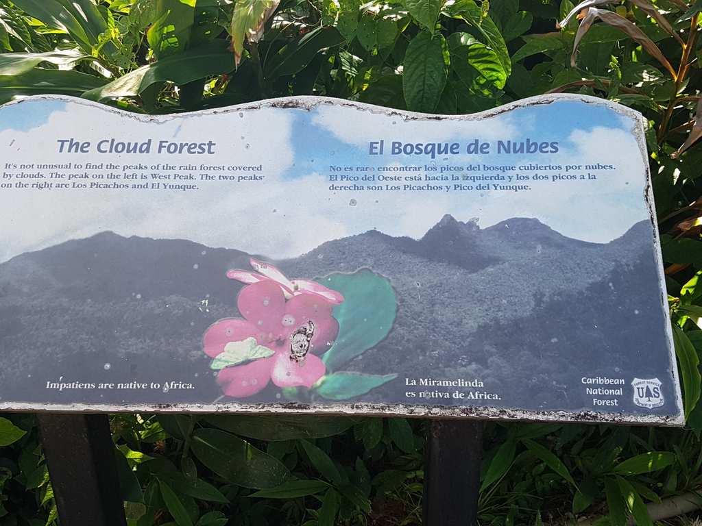 Yokahu Tower – Hikes & How to Get There