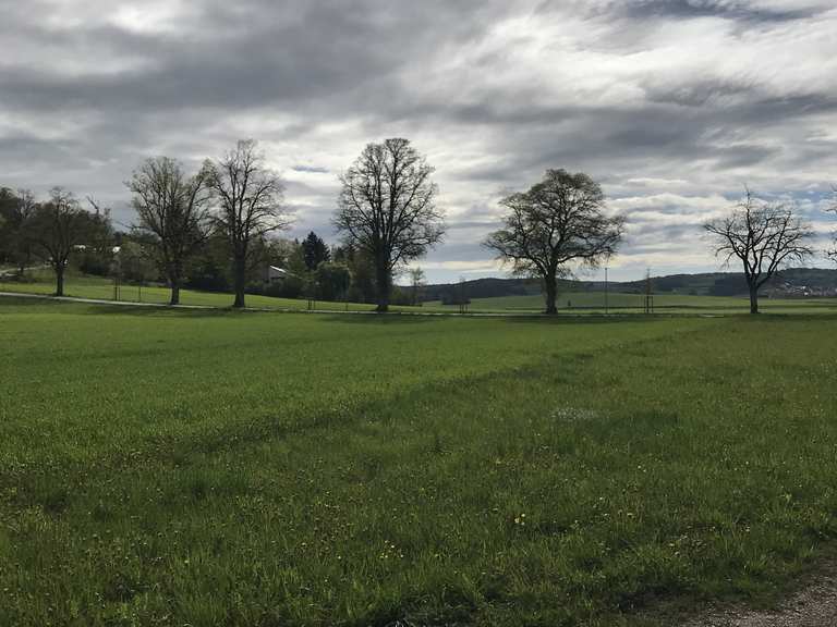 Nebelhöhle Schloss Lichtenstein Runde von Kohlstetten