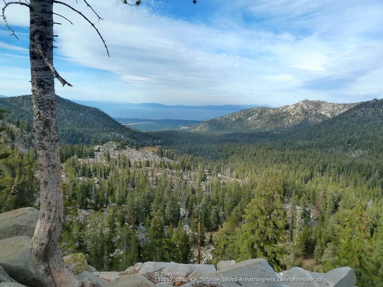 Dense pine forest fills a mountain valley with a distant lake visible.