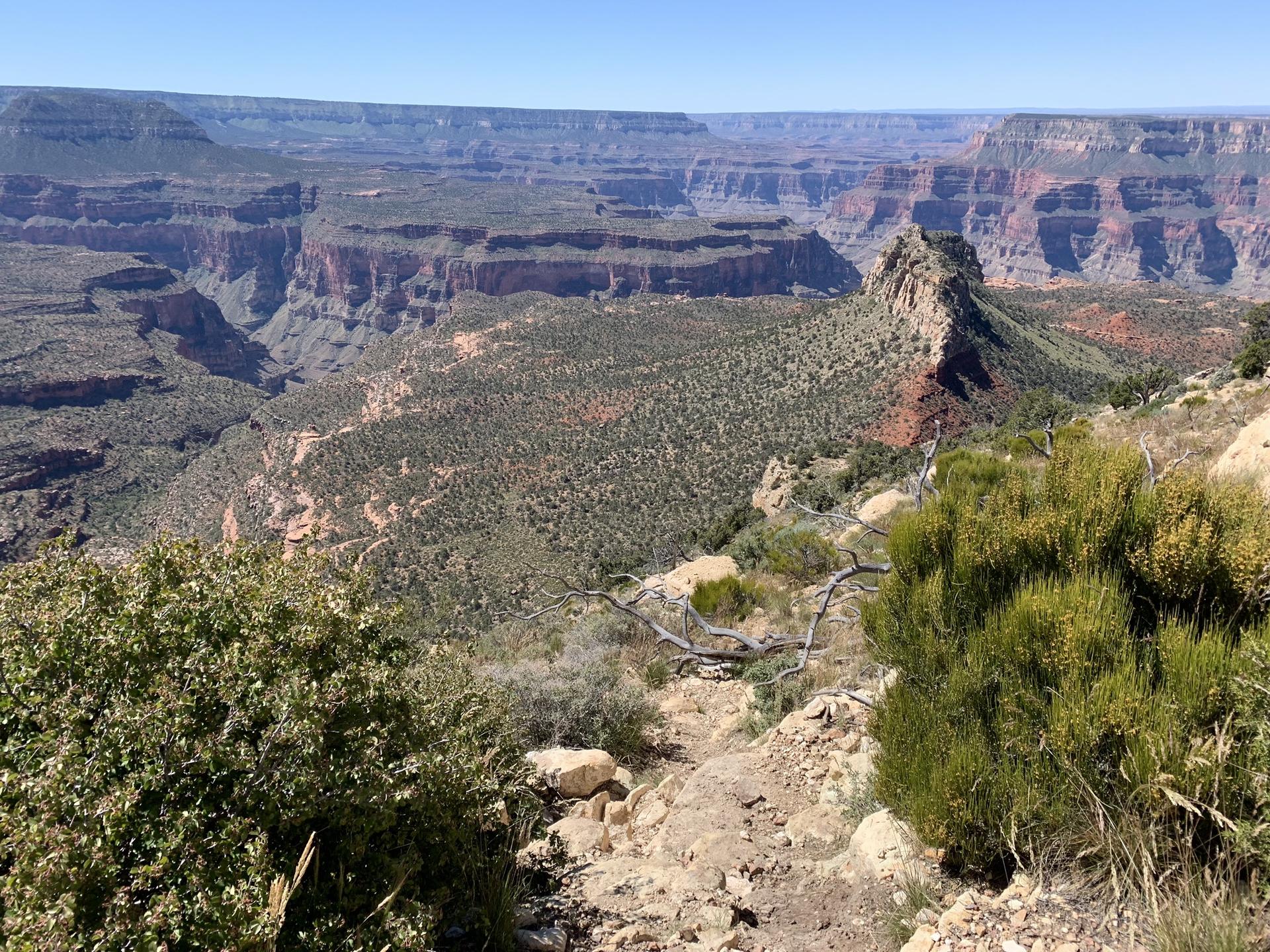 Overlook of a wide, green canyon with a winding path and distant cliffs.