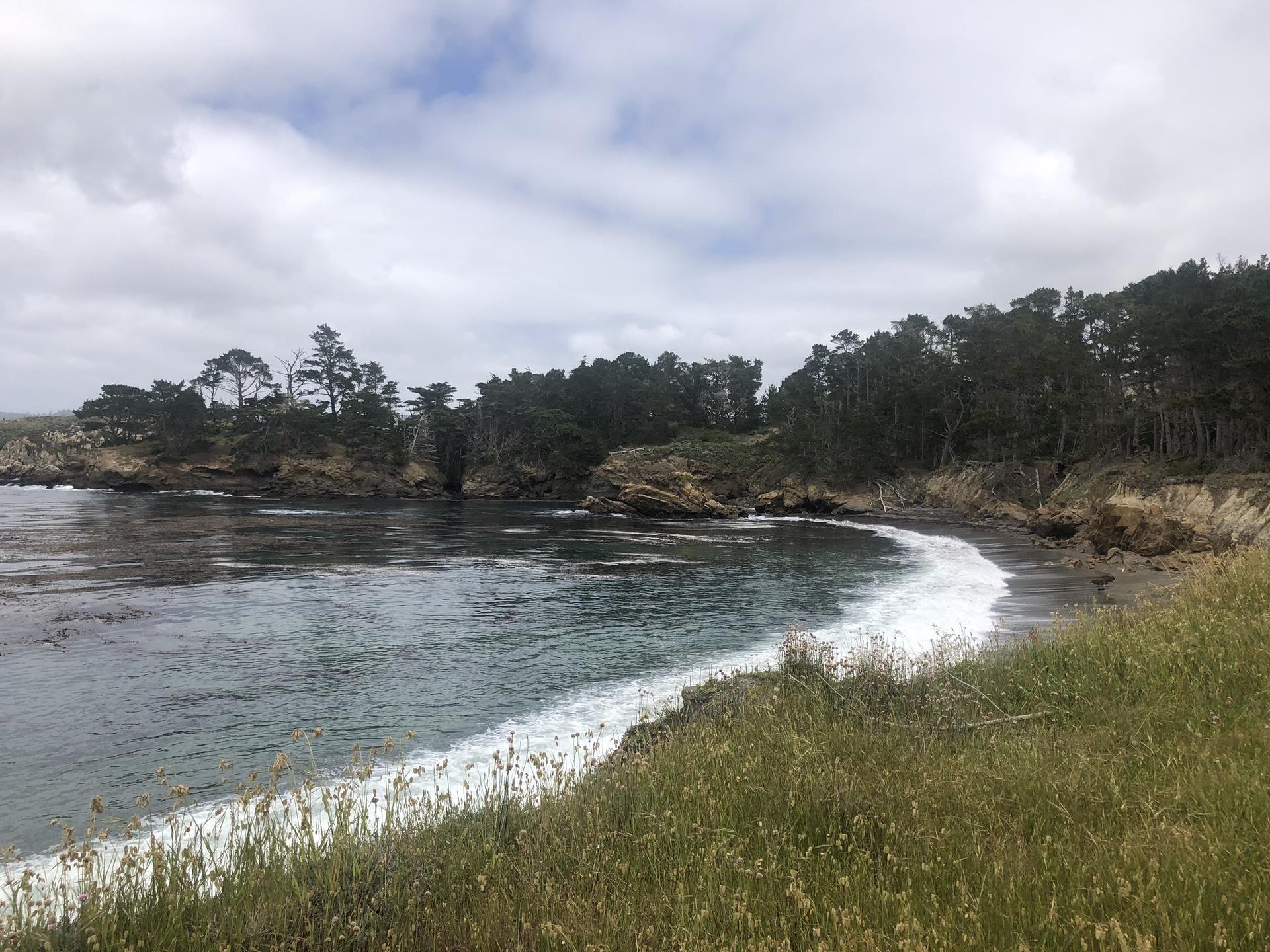 A small sandy beach with gentle waves, backed by a dense forest under cloudy sky.