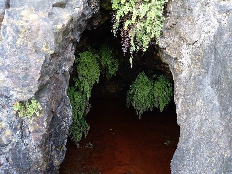 Panoramic Platform Routes for Walking and Hiking | Komoot