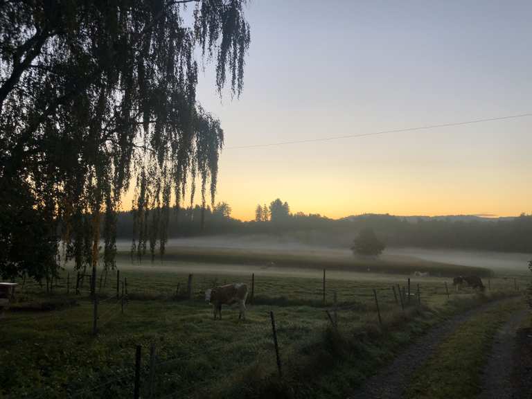 singletrails landshut